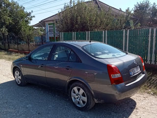 Nissan Primera foto 7