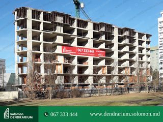Apartament cu 3 camere, 106mp, complex premium SolomonDendrarium,Centru, parc, parcare subterana. foto 9
