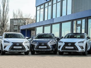 Lexus NX Series foto 6