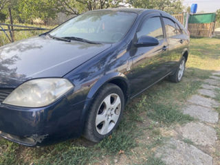 Nissan Primera foto 7