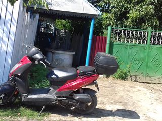 Kymco GiLity foto 10