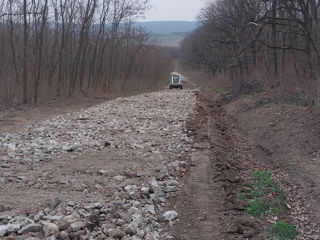 Servicii bobcat/ услуги bobcat, аренда foto 3