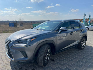 Lexus NX Series