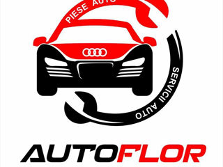 Autoservice VAG- audi, vw, golf, passat, touaran, touareg,  Автосервис, ремонт. foto 3