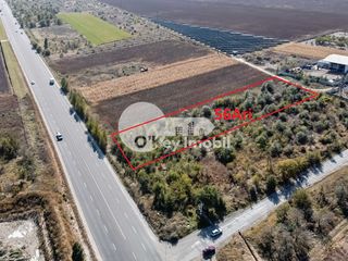 Teren agricol, 56 ari, Cojușna, 75600€ ! foto 1