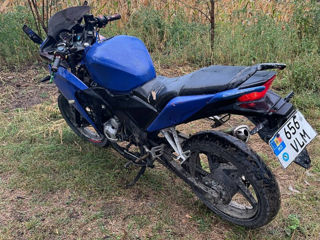 Motomax Cb50 foto 4