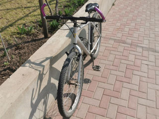 Vind bicicleta foto 3