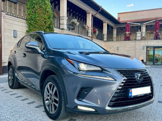 Lexus NX Series