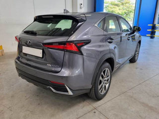 Lexus NX Series foto 3