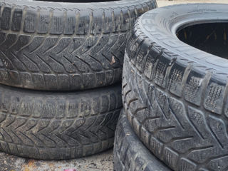 Lassa Snoways3 225/55 R17 foto 5