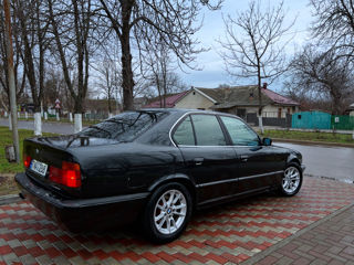 BMW 5 Series foto 8