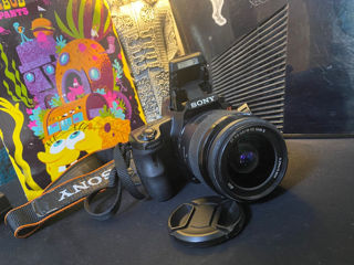 Sony SLT A 37 alpha foto 1