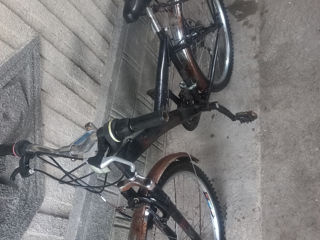 schimbator de viteze si stelutile SIMANO foto 0