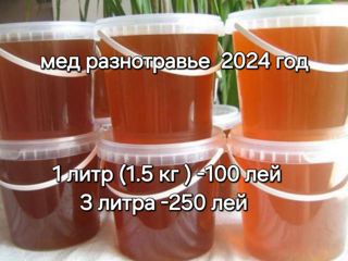 Мед разнотравье 2024 год