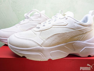 Puma cassia, marime 37