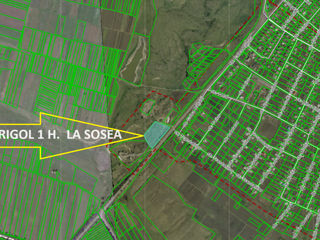Teren 1Ha pentru Panouri Solare; Soroca, sat. Zastinca la șosea