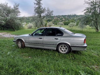 BMW 5 Series фото 2