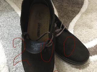 clarks md