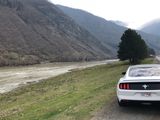 Ford Mustang foto 6
