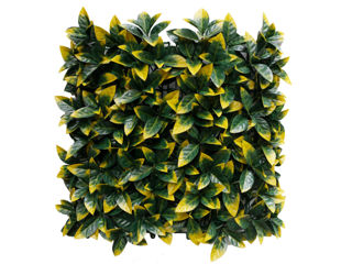 Perete decorativ GREENERY 50cm x 50cm (17216Y)