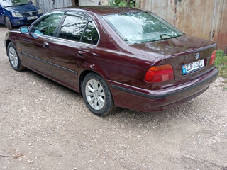 BMW 5 Series foto 3