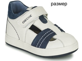 Geox foto 1