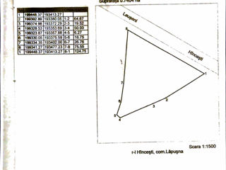 La drumul asfaltat, Hincesti, Lăpușna - Teren  0,7404 ha ha,la intrarea în localitate, foto 8