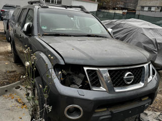 Nissan Navara foto 4