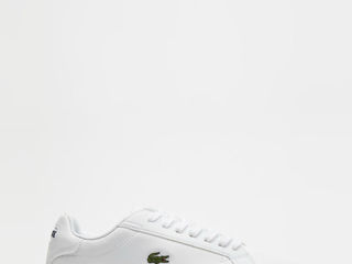 Новые оригинальные кроссовки Lacoste foto 4