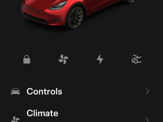 Tesla Model Y foto 10