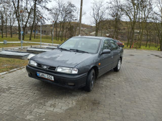 Nissan Primera