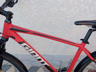 Bicicleta Giant Talon 3 bicicleta Giant  29 bike bycicle foto 4