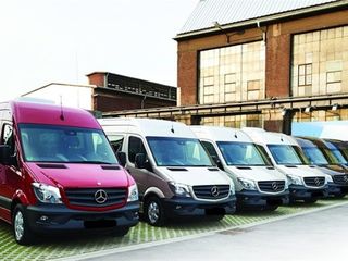 Germania Cehia Austria Ungaria Belgia Olanda zilnic tur-retur transport pasageri/colete/tehnica
