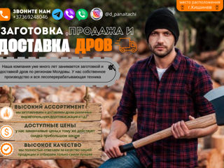 Продажа дров foto 2