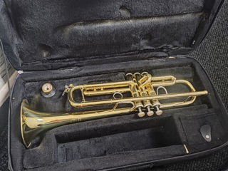 VincentBach Stradivarius 43. USA