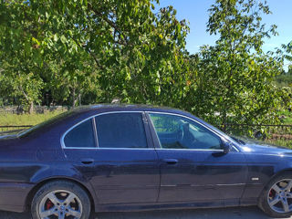 BMW 5 Series foto 7