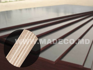 Placaj laminat     финская фанера foto 0