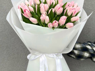 Lalele la pret angro! Livrare flori Тюльпаны оптом и в букете!Доставка цветов Tulips delivery flower foto 9