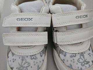 Geox 23 foto 4