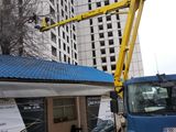 (вышка34m ,,autoturnuri).18m27mTaiem copaci cu benzopila, cu visca si fara. Пилим деревья..Молдова . foto 1