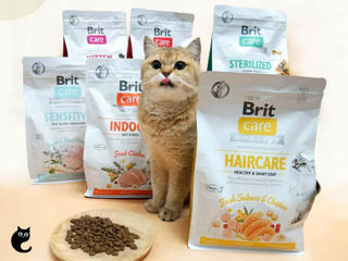 Brit Care Cat Grain-Free сухой корм супер премиум качества для кошек foto 1