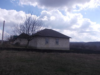 Se vinde casa in  Raionul Sîngerei s.Crigorăuca foto 3