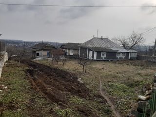 Casa de locuit+teren agricol foto 3