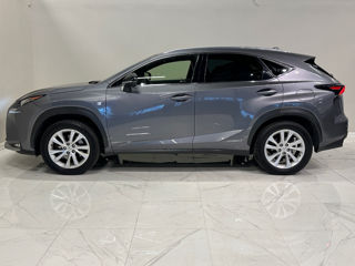 Lexus NX Series foto 6