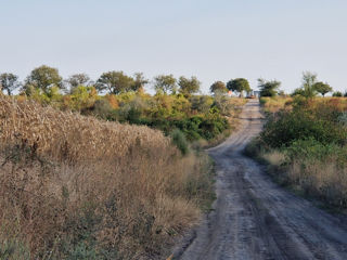 Teren linga traseu/Betonca