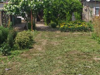 Urgent se vinde casă batrânească satul pârâta raionul dubăsari foto 4