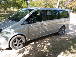 Mercedes Viano foto 9