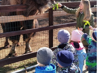 Экскурсия в зоопарк на английском языке для детей!!!/Excursie in zoo în limba engleză pentru copii!! foto 2