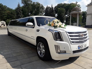 Limuzine Moldova,limuzine Chisinau, Мега Infiniti qx 56, Cadillac Escalade2017,Hummer H2 tendem, foto 8