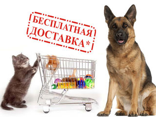 Сухой корм для собак "Miglior cane " Ciuffi" c бесплатной доставкой на дом!! foto 4